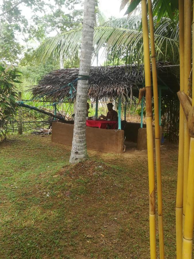 Bamboo Home stay Hiriketiya Dikwella Dış mekan fotoğraf