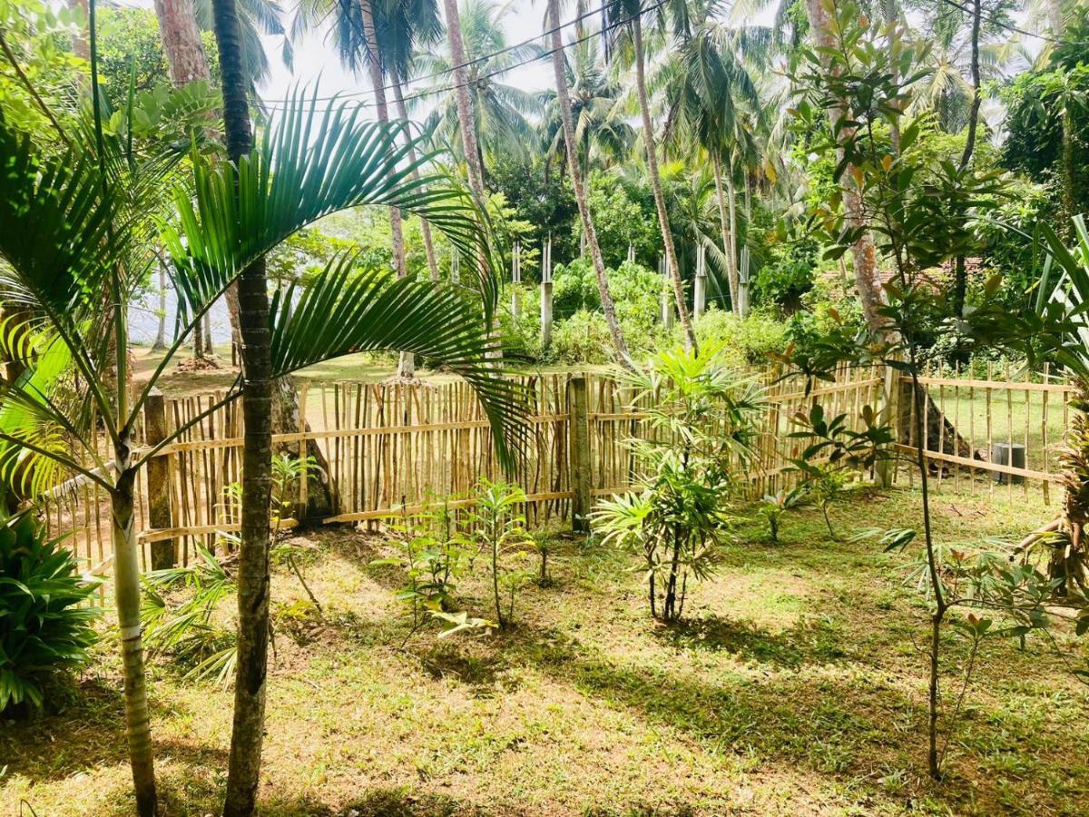 Bamboo Home stay Hiriketiya Dikwella Dış mekan fotoğraf